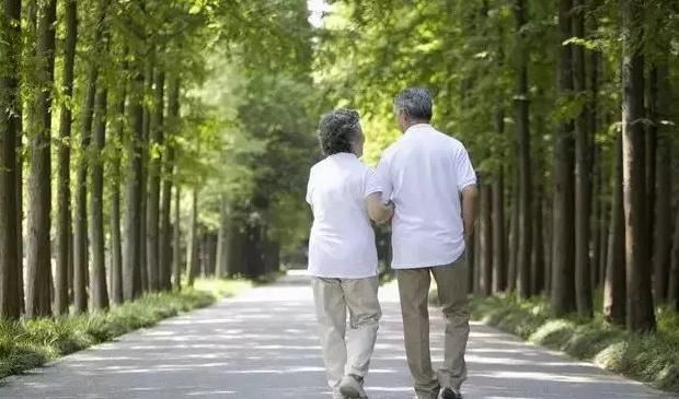  泡茶|用这三味中药泡茶喝，精力充沛、延缓衰老，58岁像28岁