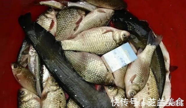 细聊钓鱼圈隐藏的六种虚假渔获!揭开它背后的真实目的