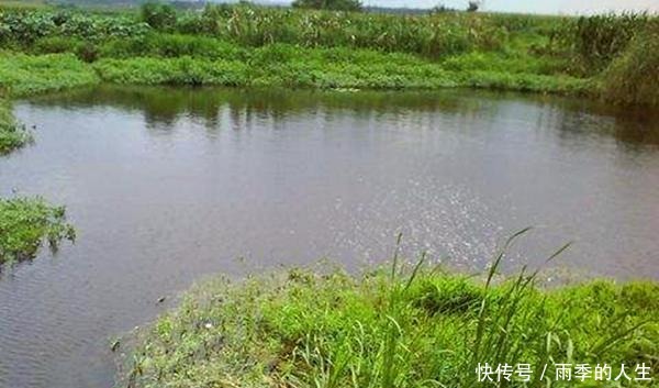 风口|立夏过后钓鱼,这些钓点成了必争之地,底下鱼儿扎堆,下竿就上鱼