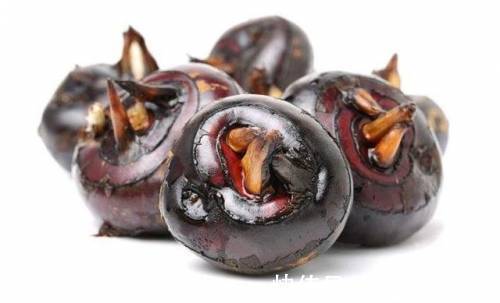 痰音|痰多百病生！中医3招，祛除痰湿，调和气血，让你年轻态、少生病