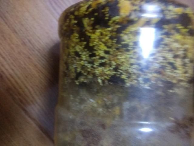 自制酒米窝料,野钓基本没空军,需要的钓友拿走