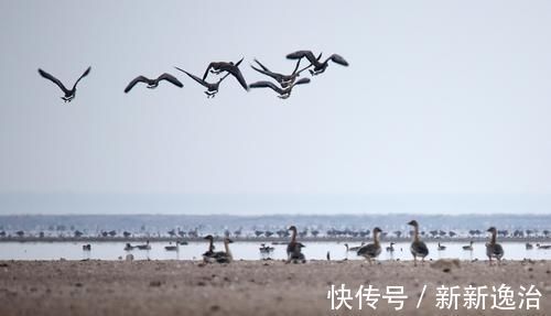 云梦泽#为找工作,孟浩然写了首马屁诗,结果竟成千古绝唱