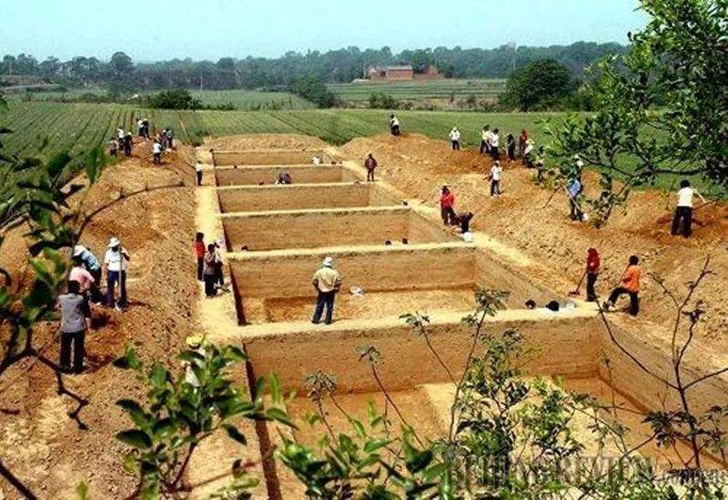 发现|青台遗址发现九个瓮棺,专家经过研究,破解了它背后隐藏的秘密