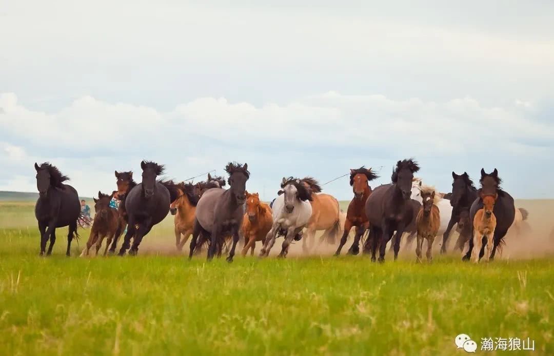国家|古代游牧群落打仗，为何没有消耗财政资源一说？