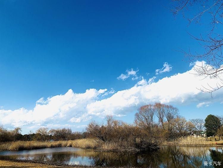 随处是风景