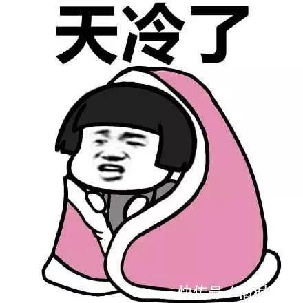 |「搞笑段子」老公买了一盆绿植，告诉我这是山茶花