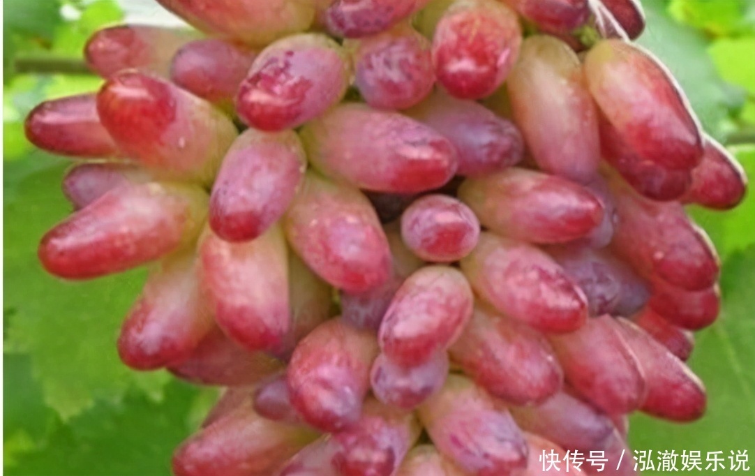 超市最常见的3种食物,营养丰富、滋润肌肤,好处多多!