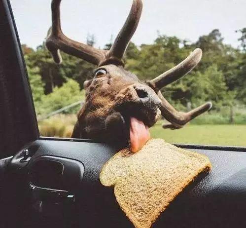 |幽默笑话:上初中的邻桌,学霸兼班花,我一直死皮赖脸的追她