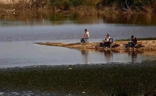 流速|入秋之后，选这几个地方下杆，大鲤大草疯狂钓不完！