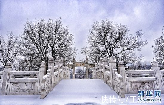 红墙青瓦|红墙青瓦遇白雪 文庙银装似画卷