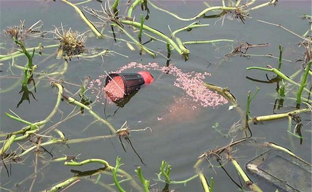 窝点|冬季钓鱼,技巧上有这5“勤”,低温不是空军的原因,不勤快才是