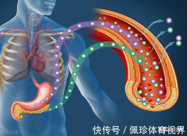 终生病|患上2型糖尿病就是终生病,不可能会逆转?错!本文辟谣讲出实情