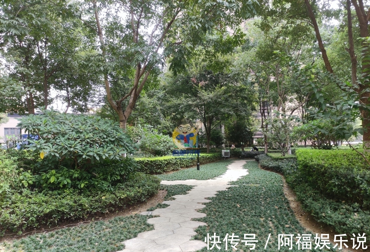 万科|这里是合肥北部出名的富人小区,实探万科森林公园品质究竟如何?