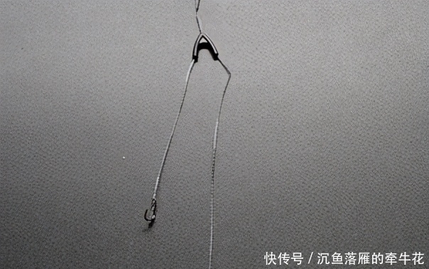 子线|轻松搞定子线长短和钩距大小的选择,学会这一篇就够——盛世三渔