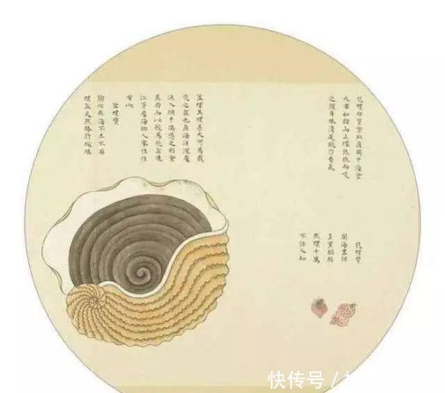 海洋生物|中国古书上的鱼人图，放大看让人匪夷所思