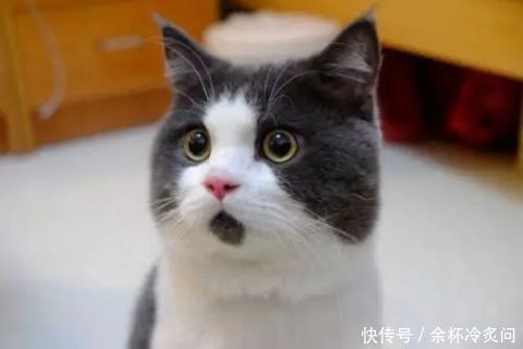  王先生|是个狠人男子眼睛反复发炎一年多，医生一翻眼皮竟掏出一截…