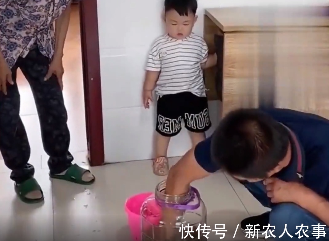 养鱼|内蒙古一熊孩子摊上事了,用爸爸的酒缸养鱼,网友:奶奶在,不怕