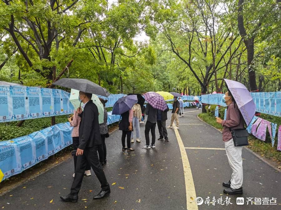 相亲大会|雨中情！千佛山相亲大会开幕第二天，现场浓情满满