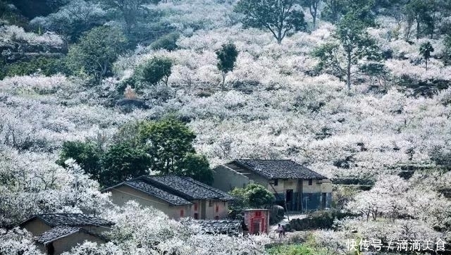 春天的重庆，美丽的山城，到底美在哪里？