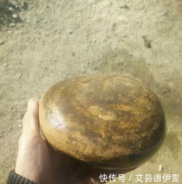 大爷用石头来养花,越养越值钱,有人出1000块也不卖!