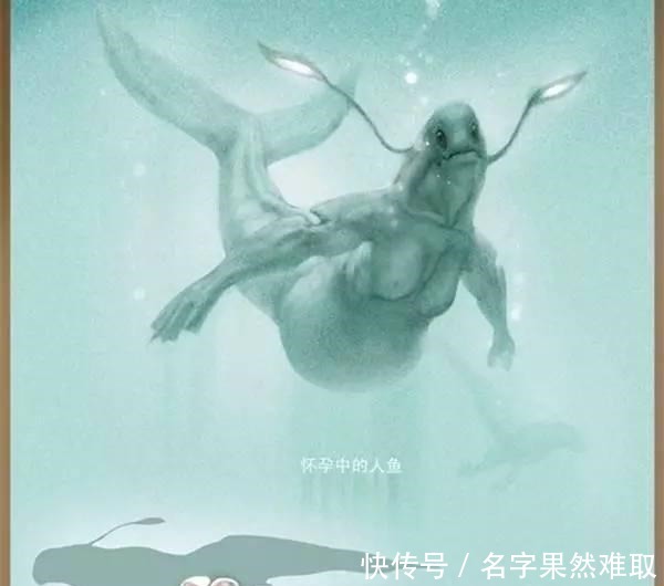 专家发现 早在一千年前, 古代典籍中就有美人鱼的记载!