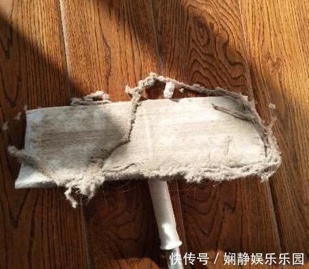 白醋|地面毛絮灰尘多?偷学家政一招,地板锃亮
