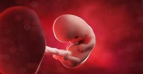 记忆力|叶酸不只适合孕妇吃,这2类人要及时补充,能给身体带来这些好处