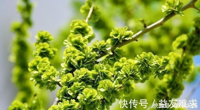 秘方|失眠多梦不用怕！80岁老奶奶的秘方：每天吃一点，一夜无梦好睡眠