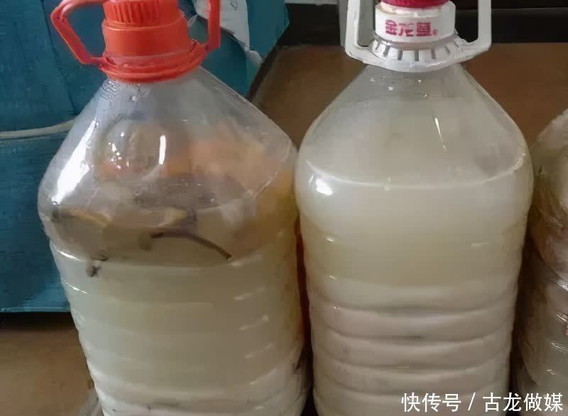 根系|养花要谨记,5种情况下,不能乱施肥,浇一盆枯萎一盆