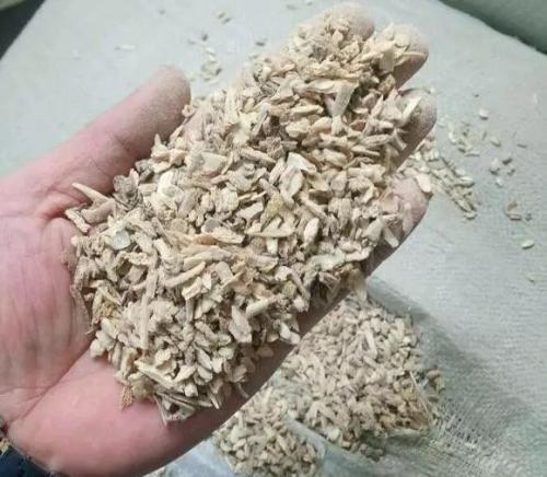 骨粉|家里2种“废料”磨成粉,就是养花宝贝,倒在花盆里,养啥旺啥