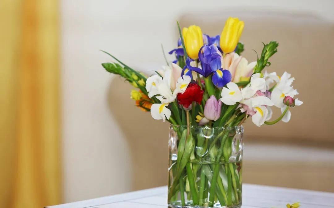 浇花|一毛钱的小东西，碾碎了浇花长势壮，扦插生根快，开花一倍