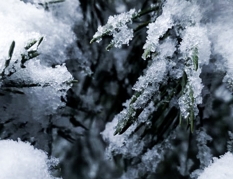 冬雪|山传初雪，许你一场深情共白头