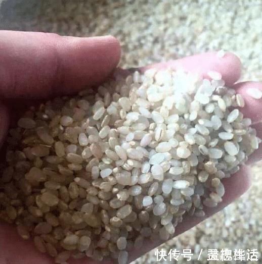 长虫|大米买多了，保存方法很简单，1年不霉不长虫，刚学会，涨知识了
