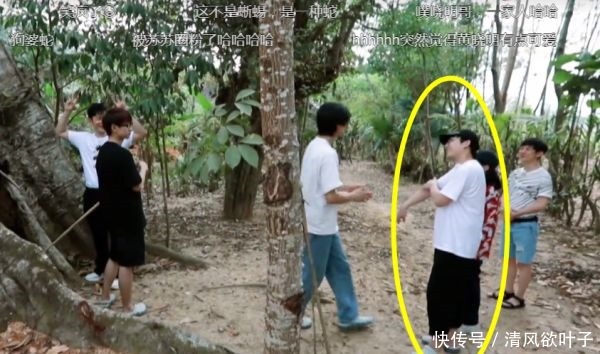汪苏泷不小心打到张子枫,谁注意彭昱畅的第一反应比言情小说还甜