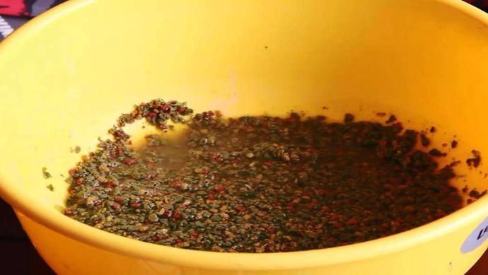 饵料|一顿饭换来的饵料配方,比老三样还好用,今天分享给钓友