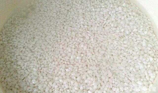 糯米土豆肉丸子|天冷,宁可不吃肉,也要吃它,入锅一蒸清淡又营养,比吃肉香多了