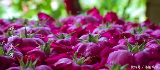 做一桌玫瑰,送给我最爱的你们~