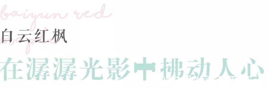 云南|“实力融创·大理的小院子”荣获2021ELA年度治愈景观银奖