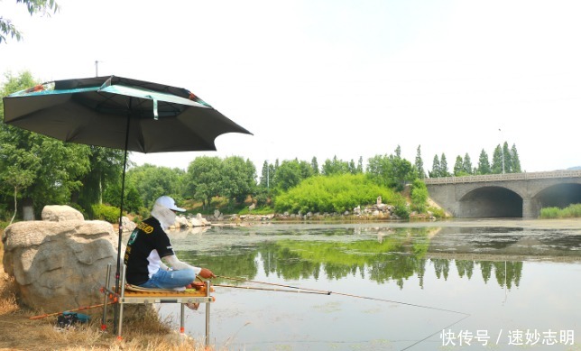 春钓浅滩?非也?老司机倾囊相授:这几个地方或许更藏鱼,莫不信