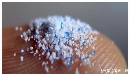 物种 6000米深海中发现新“物种”,科学家却高兴不起来,这是为何