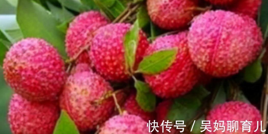 陈医师|吃了不老的食物,没事坚持吃,对皮肤非常好,营养全面,越吃越好