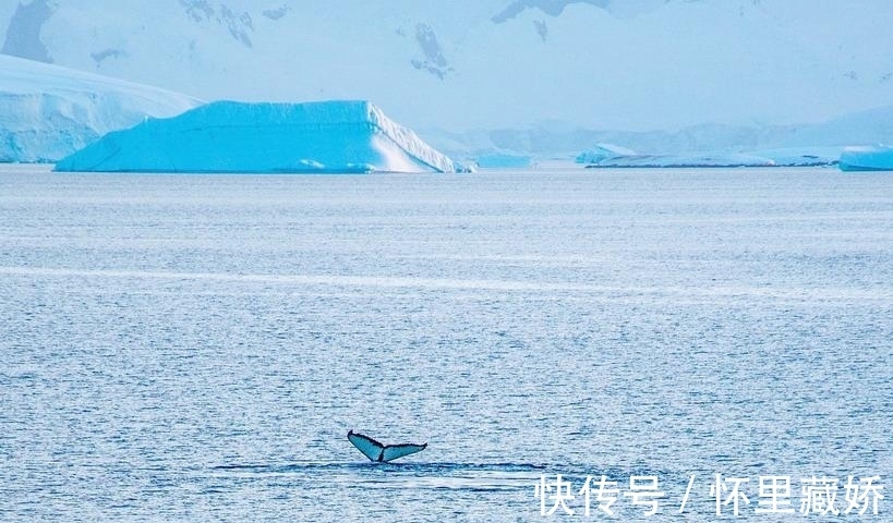 南极大陆|一生必去的南极，长期与世隔绝美景感人，游客：15万旅费花得值！