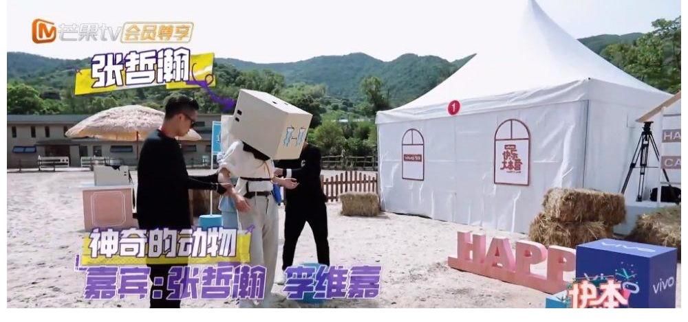 翻車|兄弟情翻車，節目中張哲瀚竟認不出好兄弟龔俊，笑聲一片