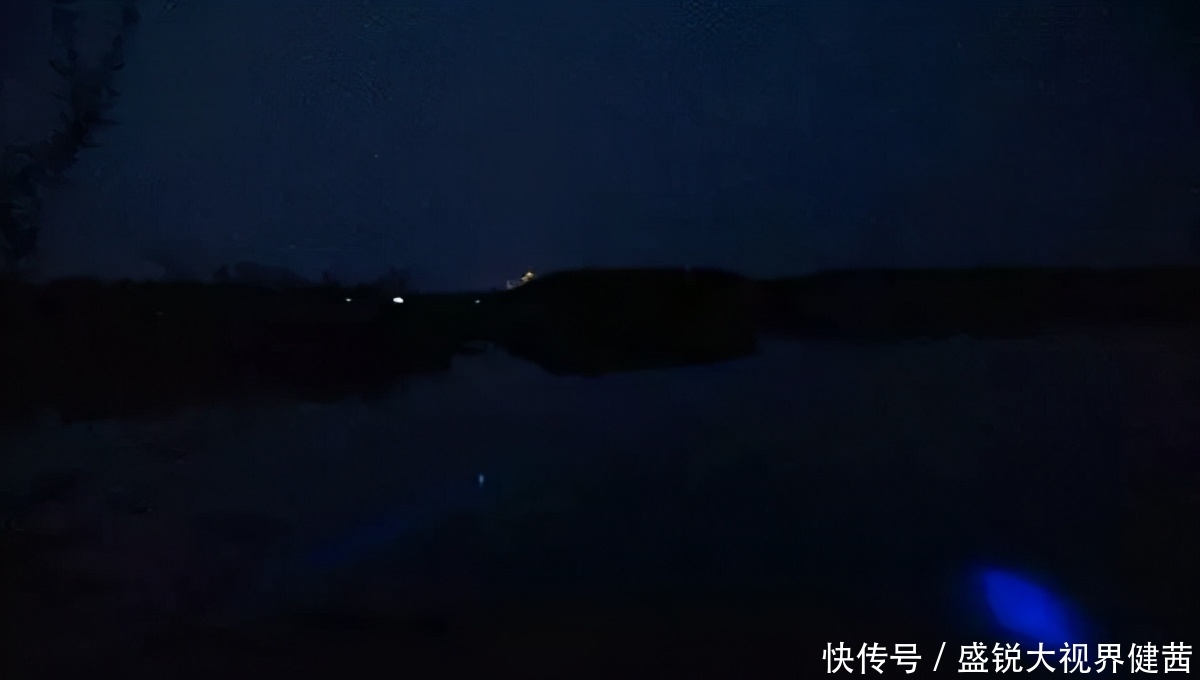 黄金时间段|夏季野钓,无需枯守一天,守住这几个时间段,渔获已在护中