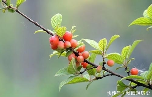 厉害|真正厉害的人,都有这样一个特质,值得大家学习