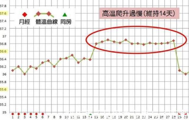 卵泡|女人什么时候最容易怀孕身体出现4种变化时,可能“一击即中”
