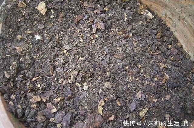 羊粪和硫酸亚铁是冤家，养花只能二选一！