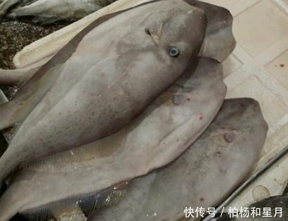 市场上这6种鱼放心购买,都是人工捕捞海鱼,营养丰盛,口感极佳