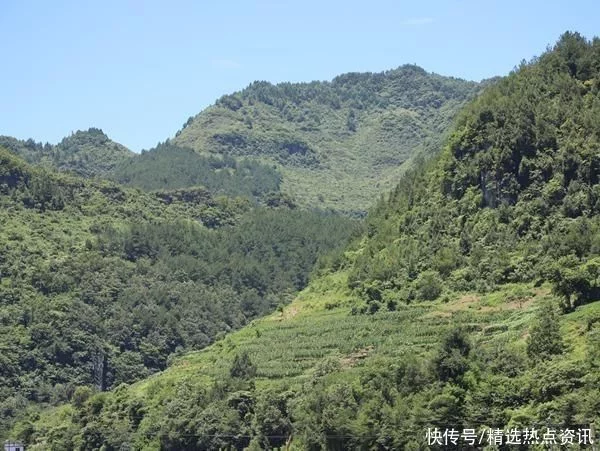 越早知道越好（贵州非遗美食怎么申请）贵州市非物质文化遗产 第8张