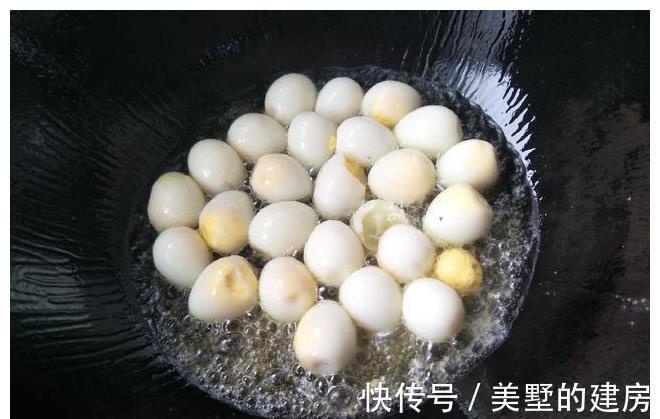 鹌鹑蛋|立秋后，1种鸟蛋要多吃，醇香入味更营养，滋补防燥家人爱